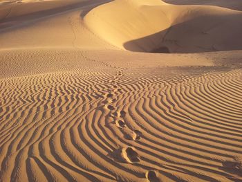 Sand dune in desert