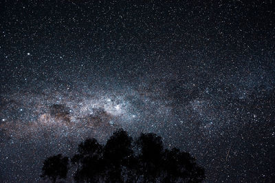 Low angle view of star field against sky at night