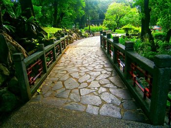 Walkway leading towards trees