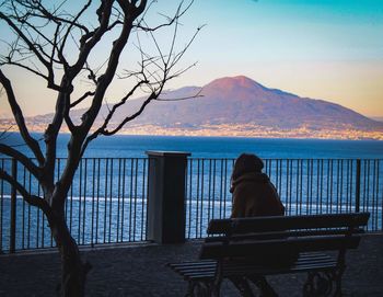 Rear view of man sitting on bench against sea