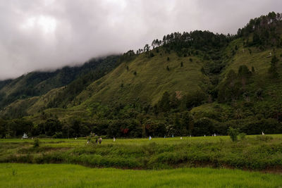 Scenic view of green landscape against sky