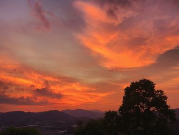 Silhouette tree against dramatic sky during sunset