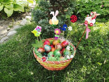 High angle view of various flowers in basket on field