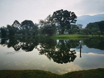 reflection