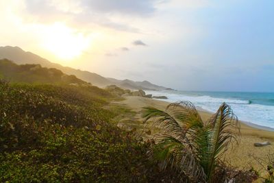 Scenic view of sea against sky