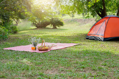 View of tent in forest