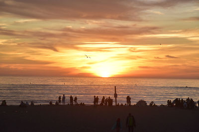 Silhouette of people on beach during sunset