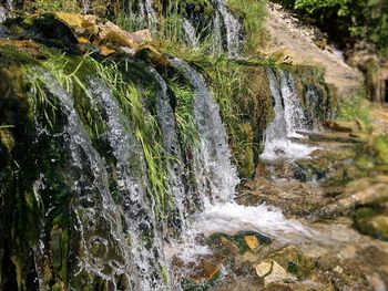 Scenic view of waterfall in forest