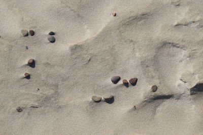 High angle view of stones on beach