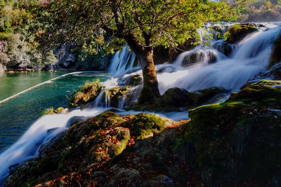 Scenic view of waterfall in forest