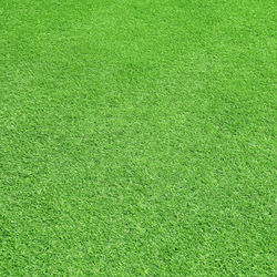 Full frame shot of soccer field
