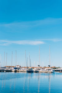 Sailboats in marina