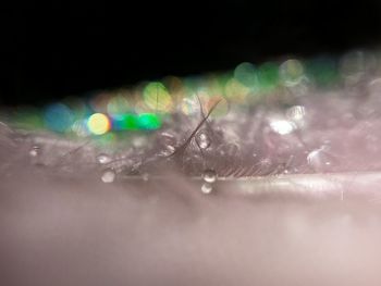 Close-up of illuminated lamp