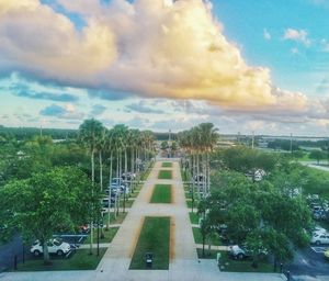 Trees in city against cloudy sky