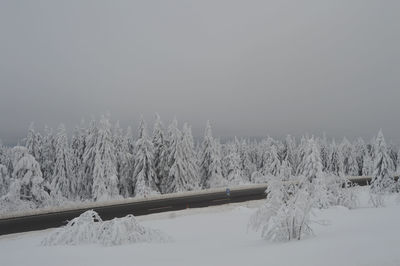 Bare trees on snow covered field against clear sky