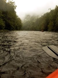 Scenic view of river by trees against sky