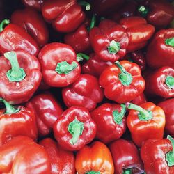 Full frame shot of bell peppers