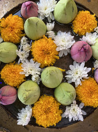 High angle view of various flowers on plant