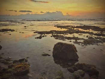 Scenic view of sea at sunset