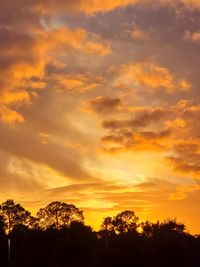 Low angle view of silhouette trees against orange sky
