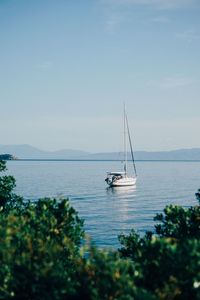 Sailboat sailing on sea against sky