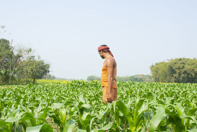 Indian farmer at agricultural field