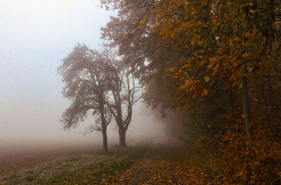 Trees on landscape against sky during autumn