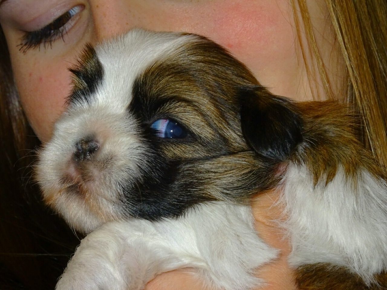 CLOSE-UP PORTRAIT OF DOG WITH PERSON