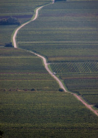 High angle view of country road amidst farms