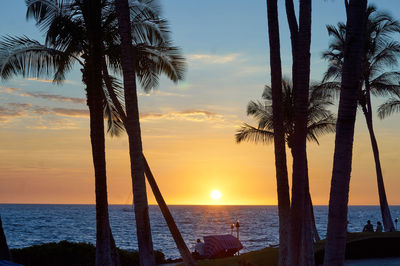 Silhouette palm trees on beach against sky during sunset