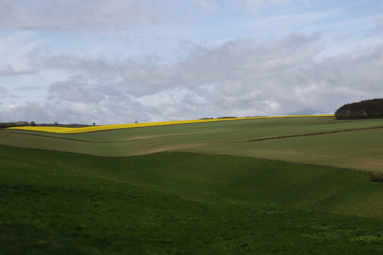 Wolds way