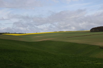 Scenic view of field against sky