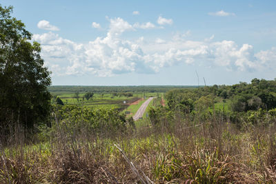 Scenic view of agricultural field against sky