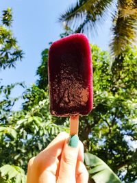 Close-up of hand holding ice cream cone against trees