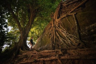 Woman sitting on tree trunk in forest