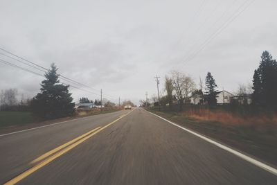 Road along trees