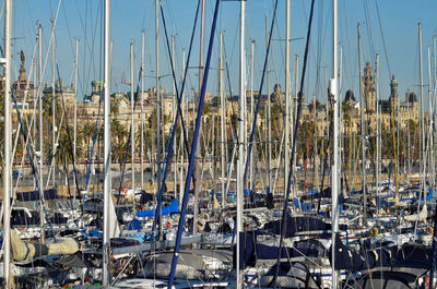 Sailboats moored in harbor