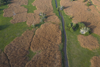 Aerial view of kopacki rit in spring, croatia