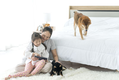 Dog looking at camera while standing on bed