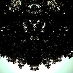 Low angle view of trees