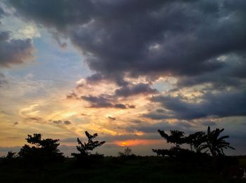 Silhouette trees against dramatic sky during sunset