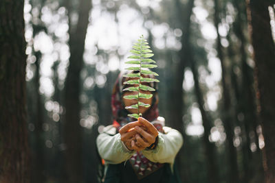 Man on tree in forest