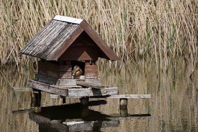 Duck in birdhouse over lake on sunny day