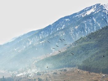 Birds flying over mountains against sky during winter