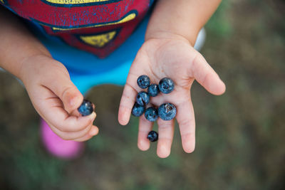 Low section of person holding blueberries