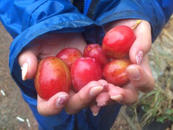 Close-up of hand holding apple