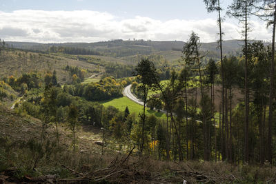 Scenic view of forest against sky