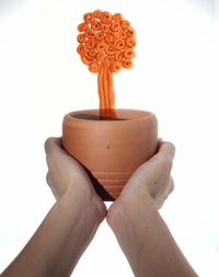 Close-up of hand holding pot over white background