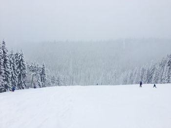 Scenic view of snow covered land