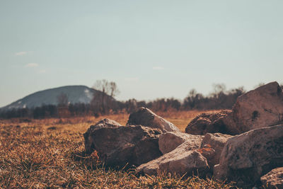 Rocks on field against sky